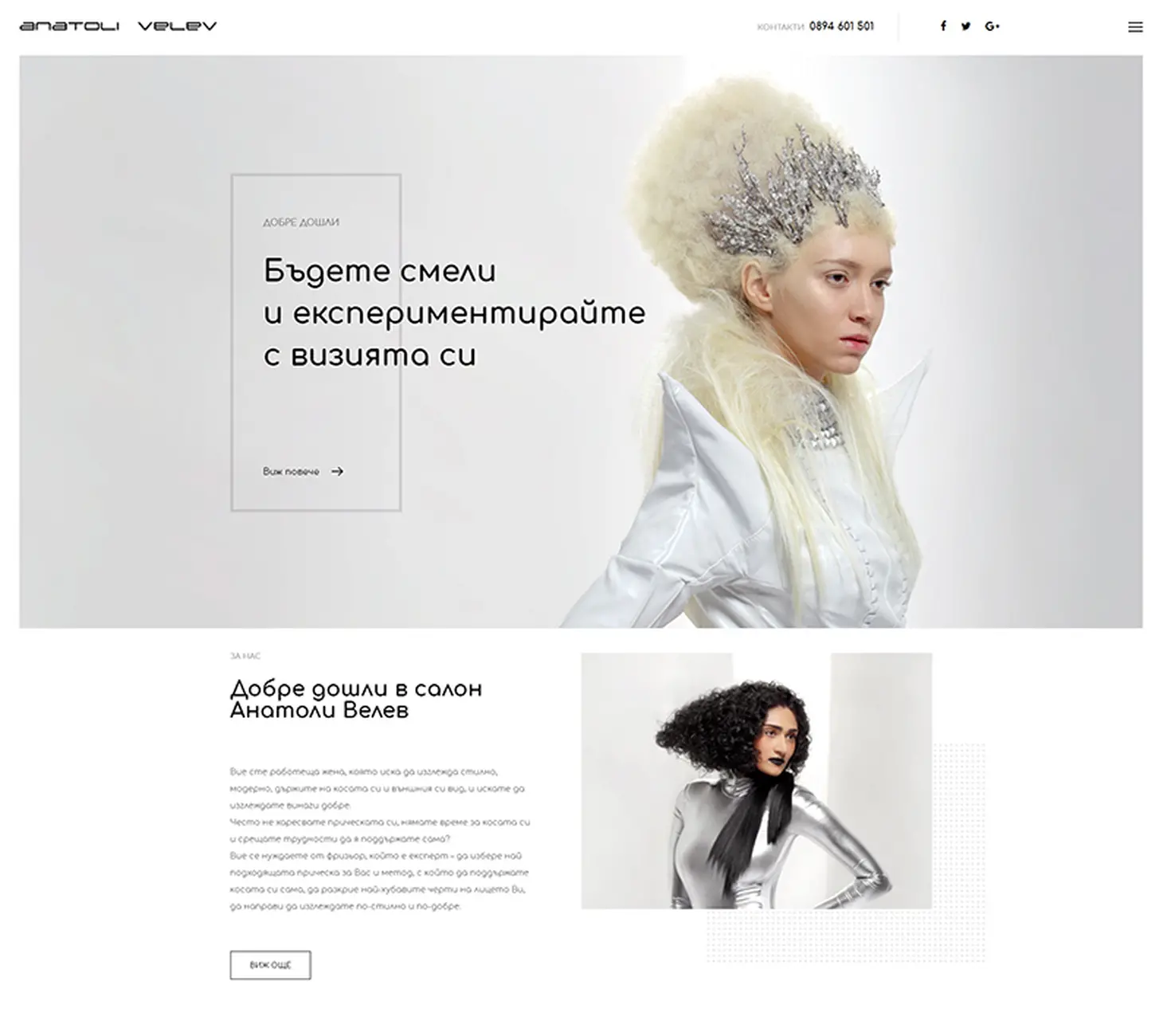 Анатоли Велев - начална страница